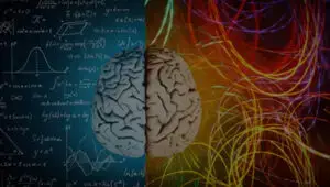 A Whole Brain&reg; Approach to Adherence: From&nbsp;Adherence to Growth