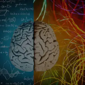 A Whole Brain® Approach to Adherence