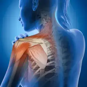 The Frozen Shoulder