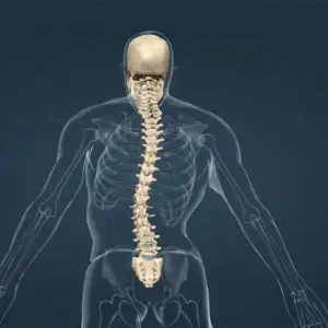 Live Webinar: Scoliosis Fundamentals: The Initial Assessment