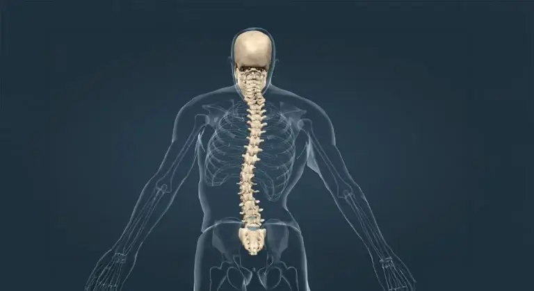 Scoliosis Fundamentals Image