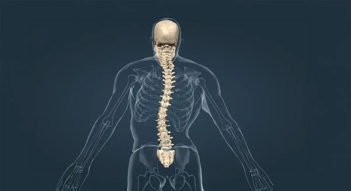 Live Webinar: Scoliosis Fundamentals: The Initial Assessment