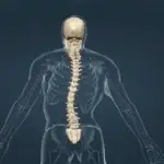 Scoliosis Fundamentals: The Initial Assessment