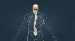 Scoliosis Fundamentals: The Initial Assessment